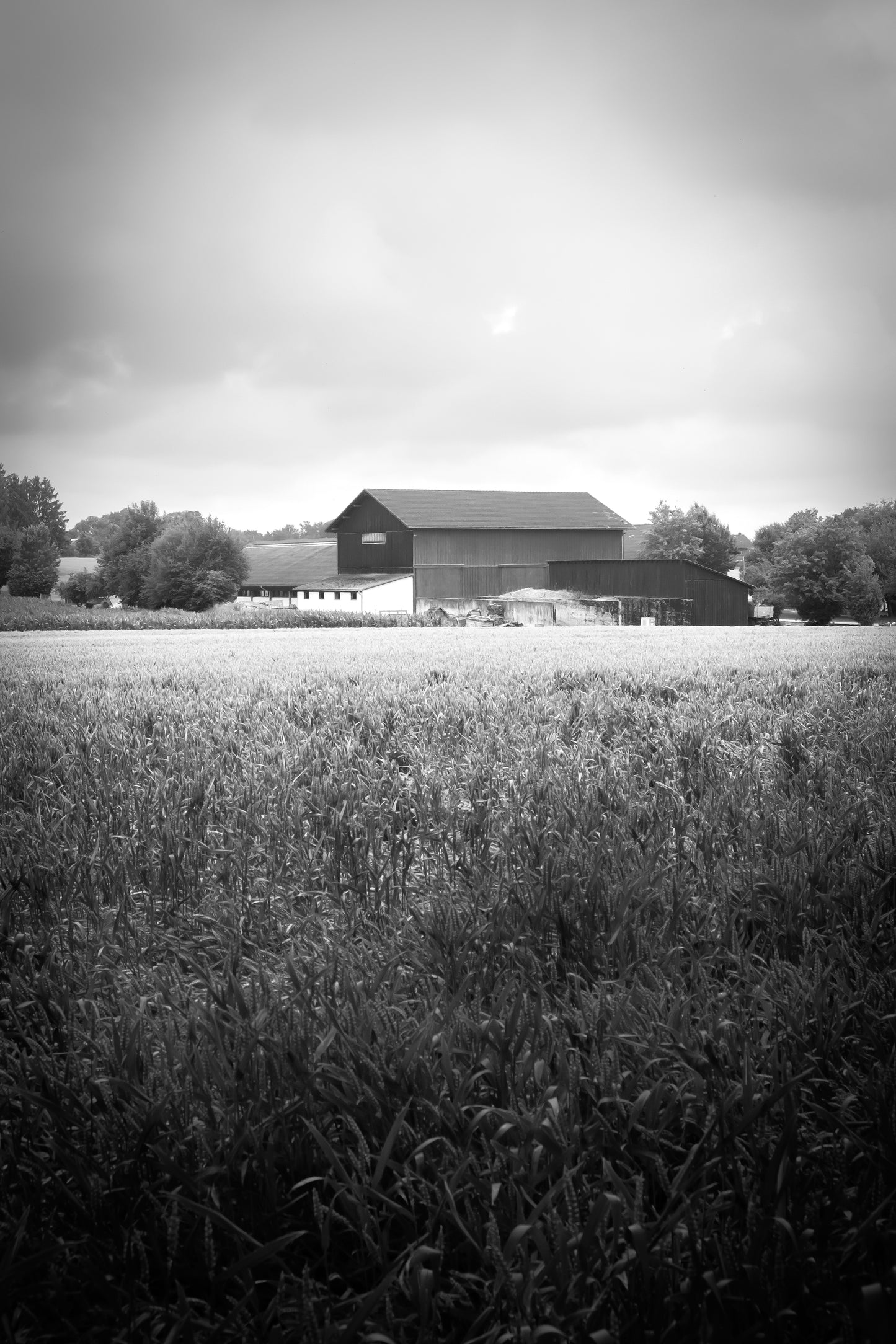 Barn, Poing - Fine Art photography - Giclée print on Hahnemühle German Etching paper