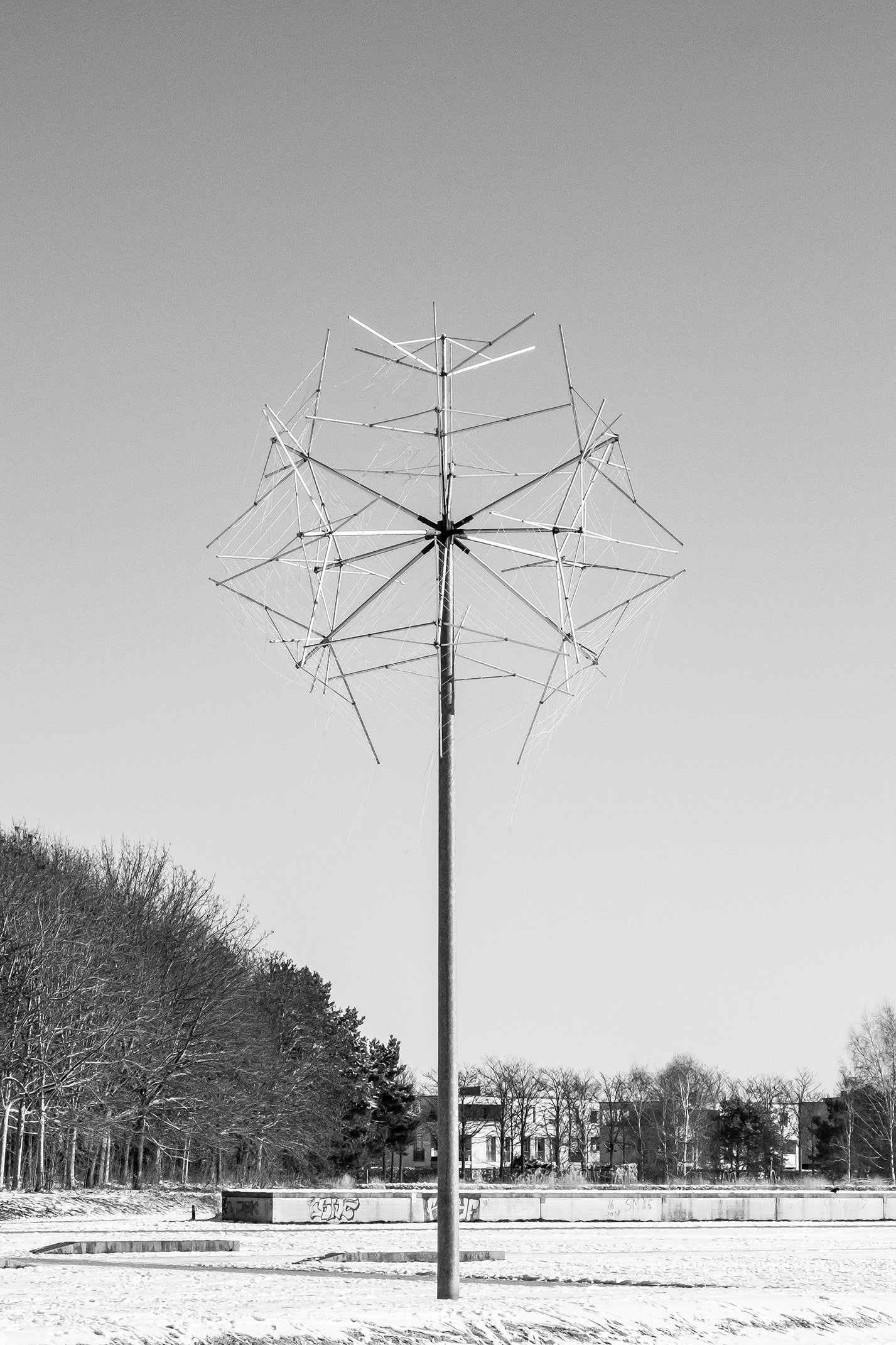 Giant Dandelion, Munich - Fine Art photography print - Giclée print on Hahnemühle Photo Rag paper